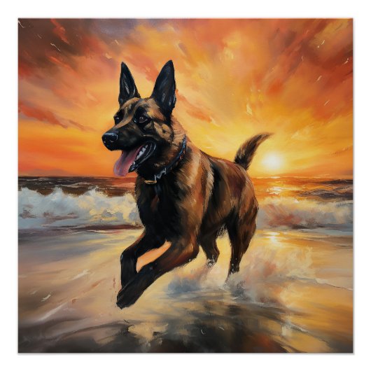 Sandy Paws Belgische Malinois Hond op Strand Zonso Perfect Poster (Voorkant)