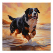Sandy Paws Berner Berghond op Strand Zonsondergang Perfect Poster (Voorkant)