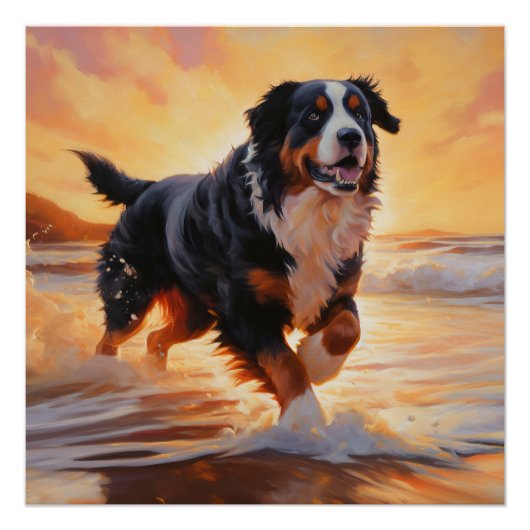 Sandy Paws Berner Berghond op Strand Zonsondergang Perfect Poster (Voorkant)