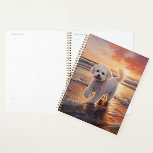 Sandy Paws Bichon Frise-hond op strand bij zonsond Planner (Display)