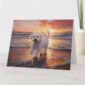 Sandy Paws Bichon Frise Hond op Strand Zonsonderga Kaart (Voorkant)