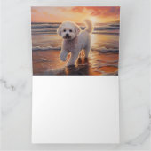 Sandy Paws Bichon Frise Hond op Strand Zonsonderga Kaart (Binnen)