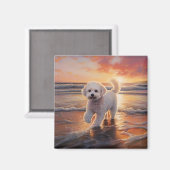 Sandy Paws Bichon Frise Hond op Strand Zonsonderga Magneet (Voorkant / Achterkant)
