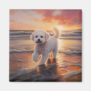 Sandy Paws Bichon Frise Hond op Strand Zonsonderga Magneet