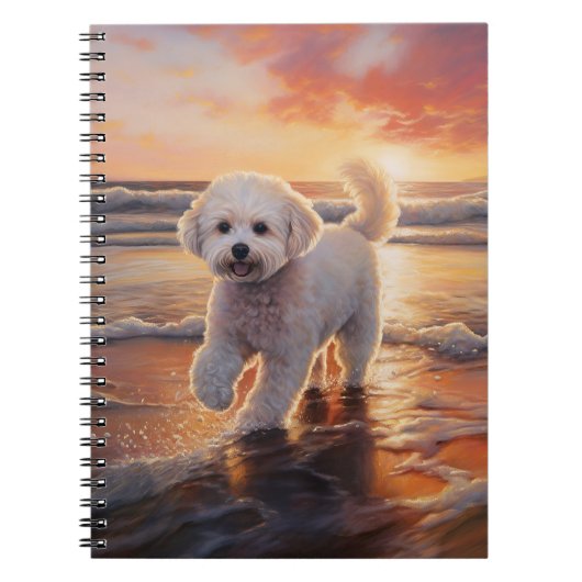 Sandy Paws Bichon Frise Hond op Strand Zonsonderga Notitieboek (Voorkant)