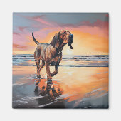 Sandy Paws bloedhond op strand zonsondergang Magneet (Voorkant)