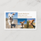 Sandy Paws Hond Wandelen Huisdier Fotografie Groom Visitekaartje (Achterkant)