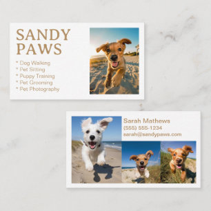Sandy Paws Hond Wandelen Huisdier Fotografie Groom Visitekaartje