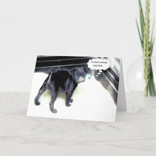 Sandy Pug Happy Birthday Wenskaart Kaart