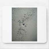 Sandy Sculptures: Strandkrabben-gemaakte zandforma Muismat (Voorkant)