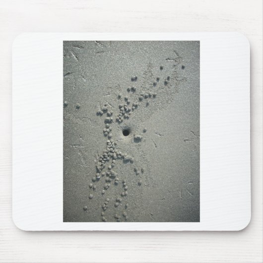 Sandy Sculptures: Strandkrabben-gemaakte zandforma Muismat (Voorkant)