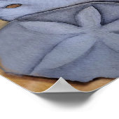 Sandy Seashells Poster (Hoek)