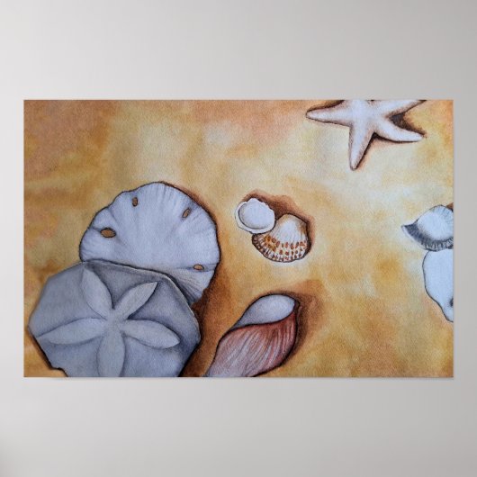 Sandy Seashells Poster (Voorkant)