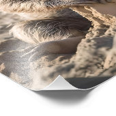 Sandy Shores: Baby Sloth Bouw Zandkastelen, Foto Afdruk (Hoek)