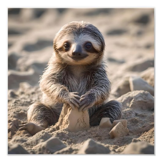 Sandy Shores: Baby Sloth Bouw Zandkastelen, Foto Afdruk (Voorkant)