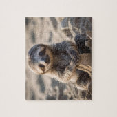 Sandy Shores: Baby Sloth Bouw Zandkastelen, Legpuzzel (Verticaal)