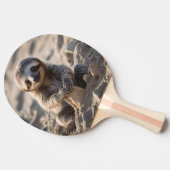 Sandy Shores: Baby Sloth Bouw Zandkastelen, Tafeltennisbatje (Zijkant)