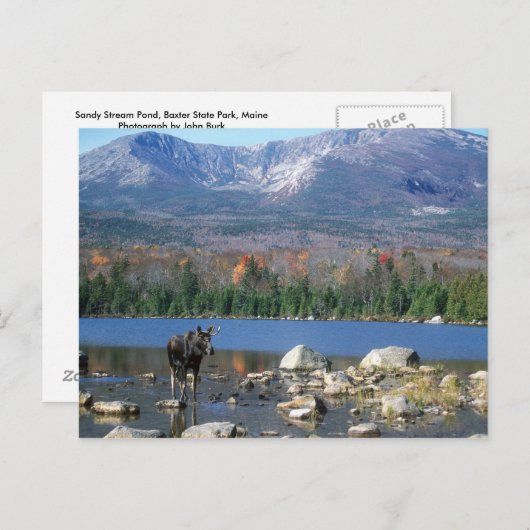 Sandy Stream Pond Briefkaart (Voorkant / Achterkant)