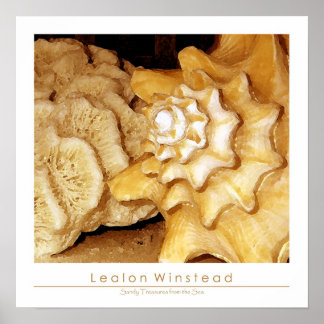 Sandy Treasures uit het Zee Poster