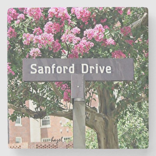 Sanford Drive Flowers Athens Georgia Onderzetter. Stenen Onderzetter (Voorkant)