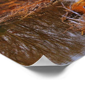 Sangamon River Near Lincoln's New Salem, Illinois Poster (Hoek)