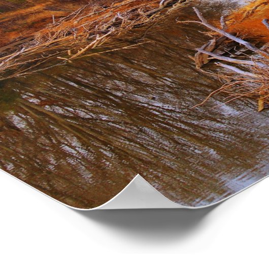 Sangamon River Near Lincoln's New Salem, Illinois Poster (Hoek)