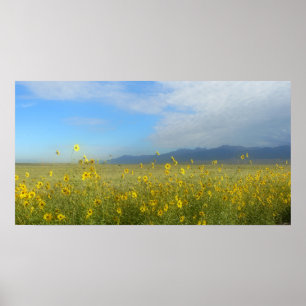 Sangre de Cristo, Great Sand Dunes en bloemen Poster