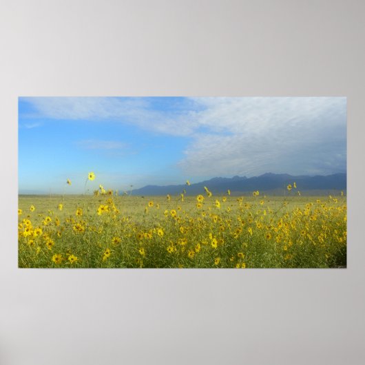 Sangre de Cristo, Great Sand Dunes en bloemen Poster (Voorkant)