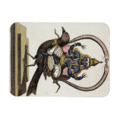 Sani uit 'Voyage aux Indes et a la Chine' door Pie Magneet (Horizontaal)