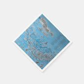 SANIBEL CAPTIVA EILAND FLORIDA  SERVET (Hoek)