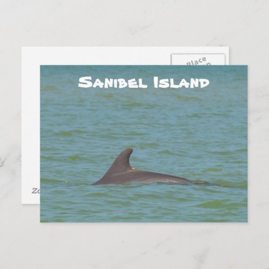 Sanibel Dolphin Briefkaart (Voorkant / Achterkant)