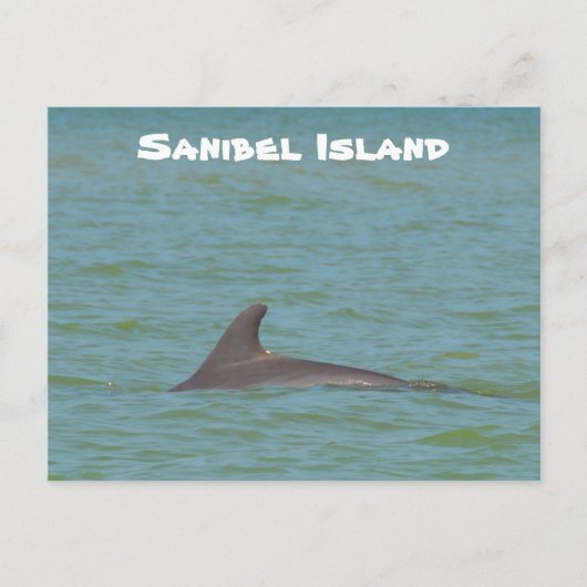 Sanibel Dolphin Briefkaart (Voorkant)