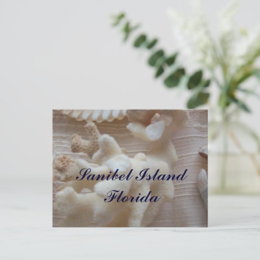 Sanibel Island Briefkaart (Staand voorkant)