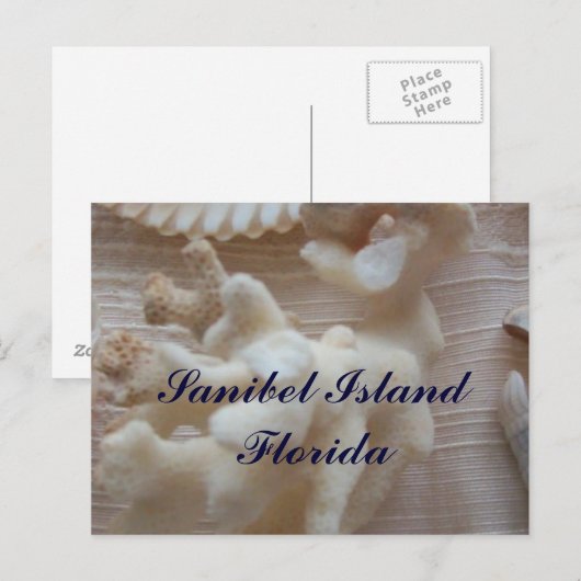 Sanibel Island Briefkaart (Voorkant / Achterkant)