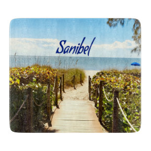 Sanibel Island Florida Beach Ocean Snijplank