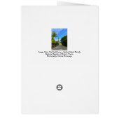 Sanibel Island Lighthouse Florida Gulf Coast Kaart (Achterkant)