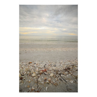 Sanibel Island Outlook Foto Afdruk