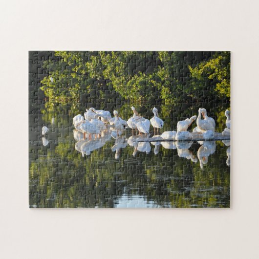 Sanibel Island Pelicans Florida. Legpuzzel (Horizontaal)