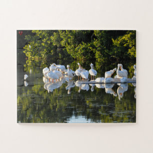Sanibel Island Pelikanen Florida Legpuzzel
