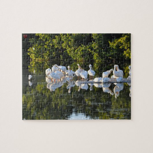Sanibel Island Pelikanen Florida Legpuzzel (Horizontaal)