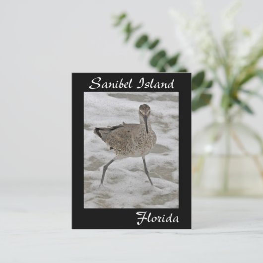 Sanibel Island Sandpiper Briefkaart (Staand voorkant)