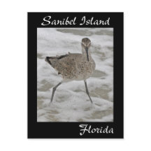 Sanibel Island Sandpiper Briefkaart