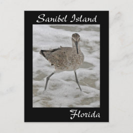 Sanibel Island Sandpiper Briefkaart