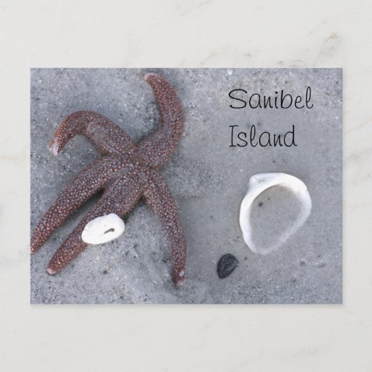 Sanibel Island Starfish and Shell Briefkaart (Voorkant)
