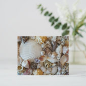Sanibel-schelpen Briefkaart (Staand voorkant)
