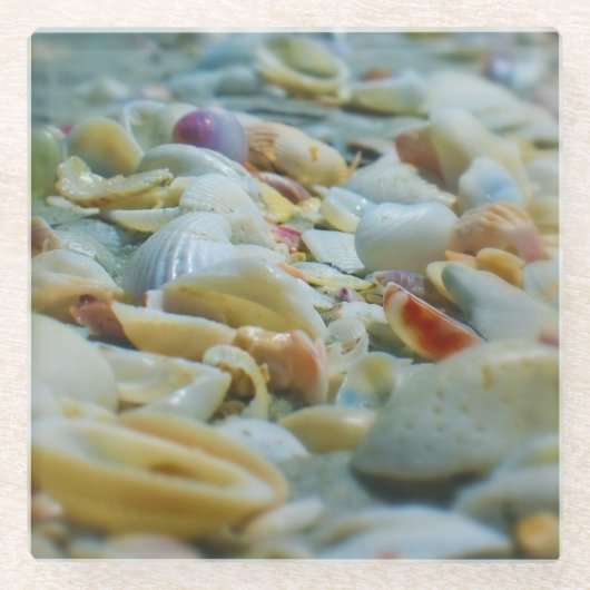 Sanibel Seashells Glass Onderzetter (Voorkant)