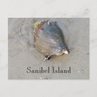 Sanibel Shell Briefkaart