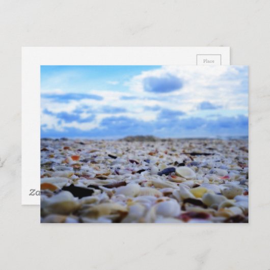 Sanibel Shells Briefkaart (Voorkant / Achterkant)