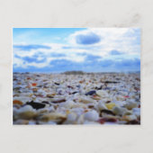 Sanibel Shells Briefkaart (Voorkant)