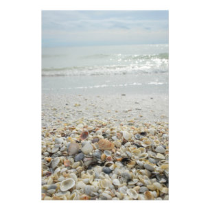 Sanibel Shells Foto Afdruk